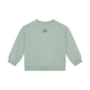 Jongens Oversized Sweater Print van Daily7 in de kleur Green Milieu in maat 128.