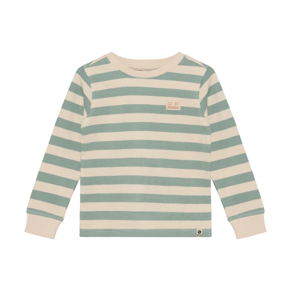 Jongens T-shirt Longsleeve Stripe van Daily7 in de kleur Green Milieu in maat 128.