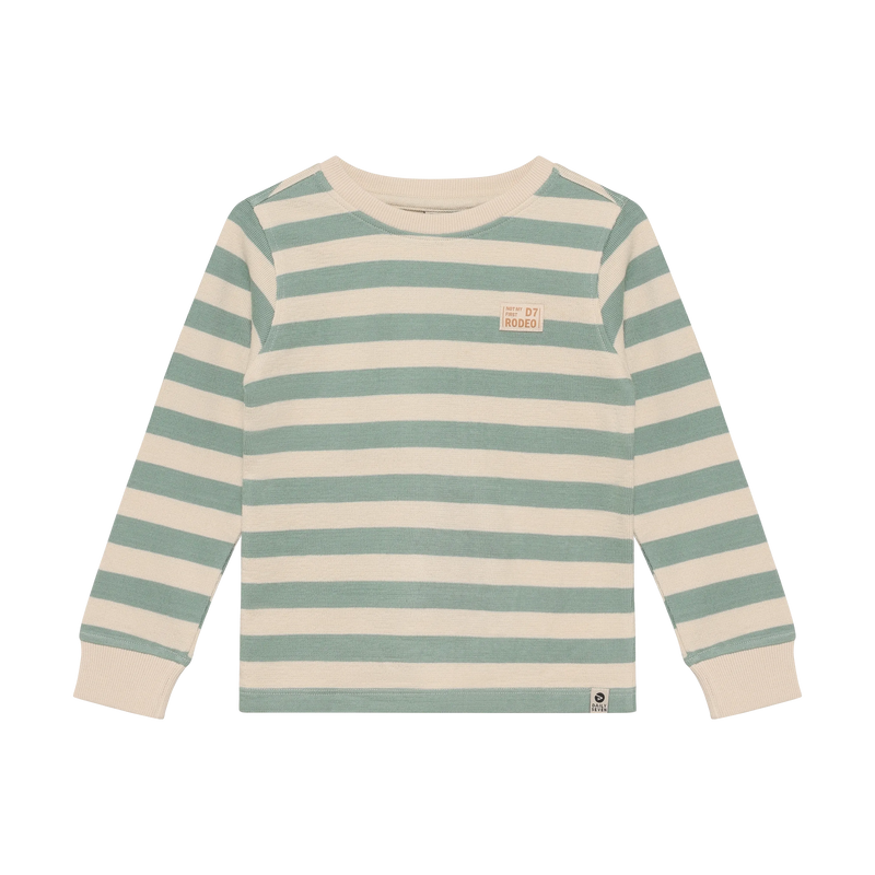 Jongens T-shirt Longsleeve Stripe van Daily7 in de kleur Green Milieu in maat 128.
