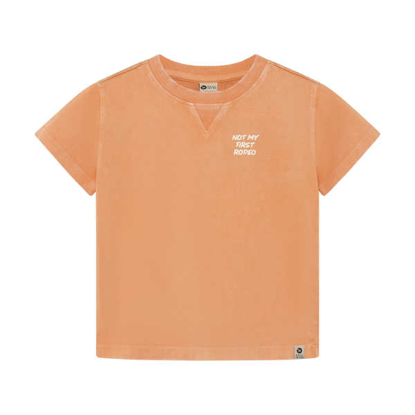 Jongens T-shirt Backprint van Daily7 in de kleur Sandstone in maat 128.