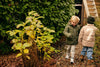 Jongens Quilted Jacket van Daily7 in de kleur Beetle in maat 128.