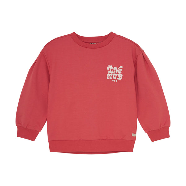Meisjes Sweater Brushed Print van Daily7 in de kleur Baked Apple in maat 128.