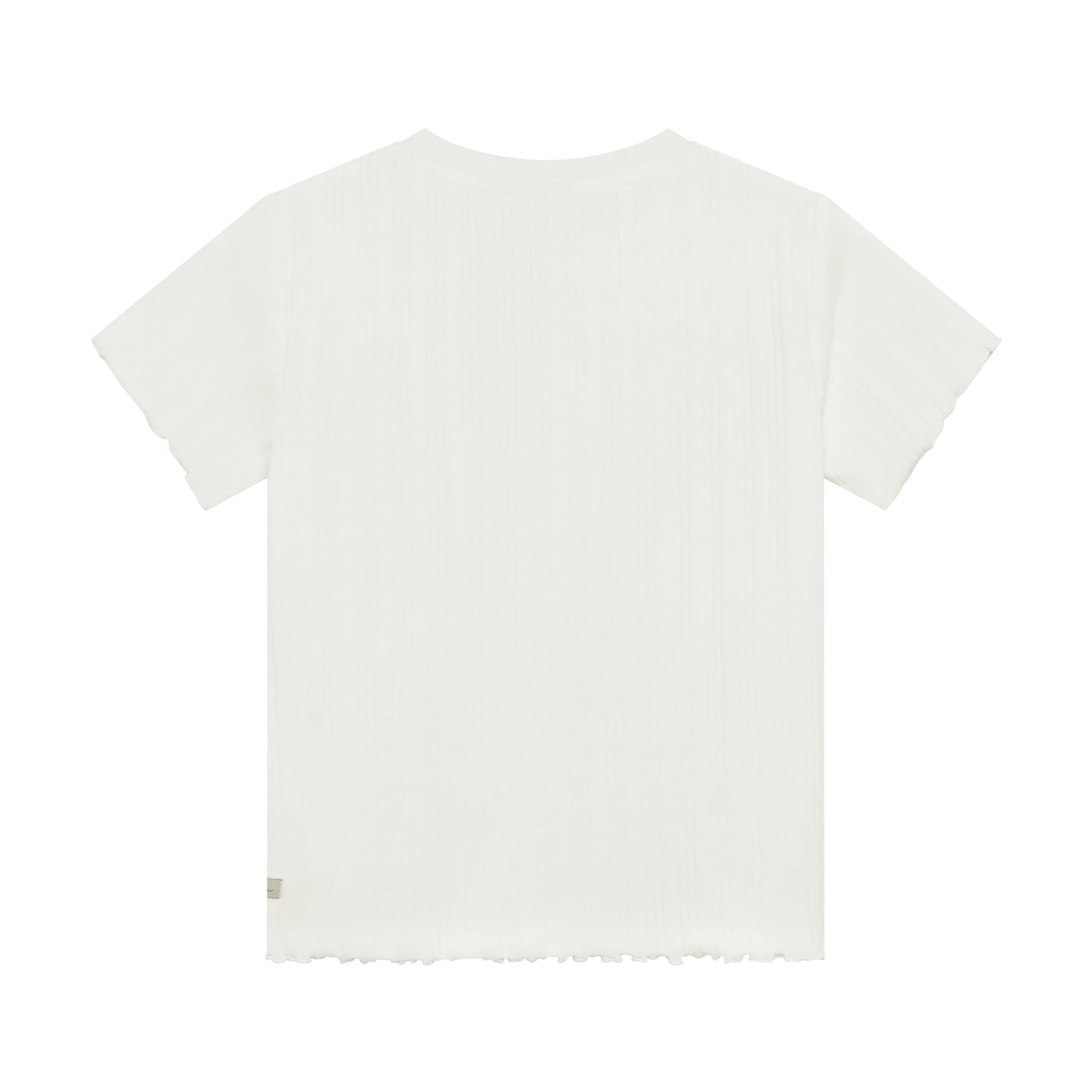 Meisjes T-shirt Artwork van Daily7 in de kleur Egret in maat 128.