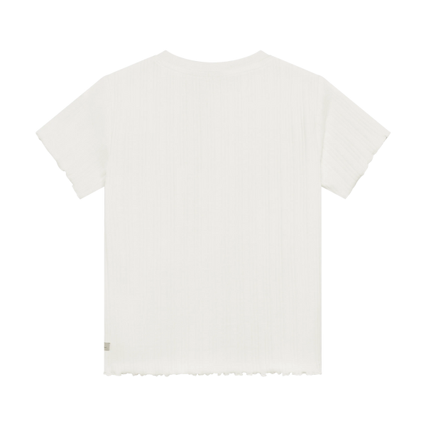 Daily7 T-shirt Artwork