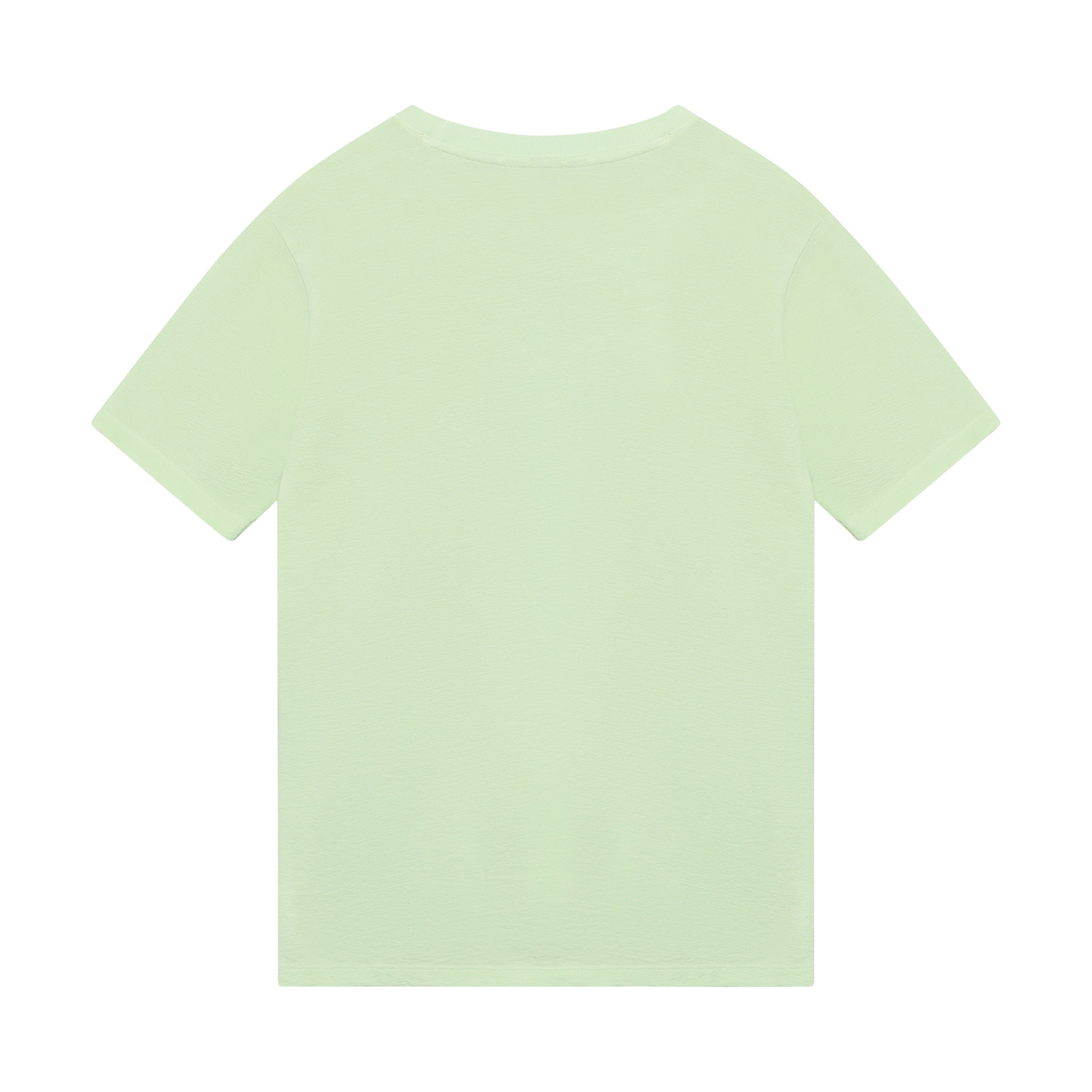 Jongens Oversized T-Shirt Rellix Wash van Rellix in de kleur Fresh Lime in maat 188.