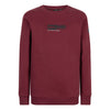 Indian Blue Jeans Sweater