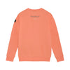 Jongens Sweater Chest Print Brushed van Indian Blue Jeans in de kleur Peach Echo in maat 176.