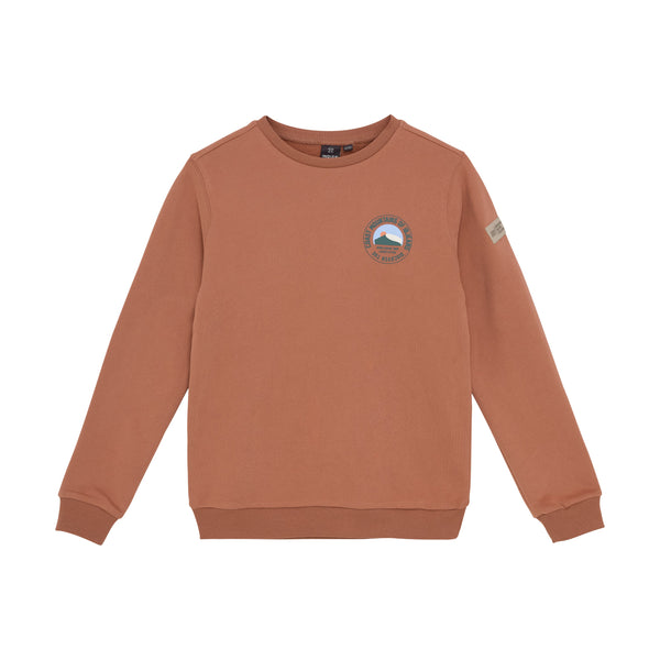 Jongens Loose Fit Sweat Chest Print van Indian Blue Jeans in de kleur Burlwood  in maat 176.