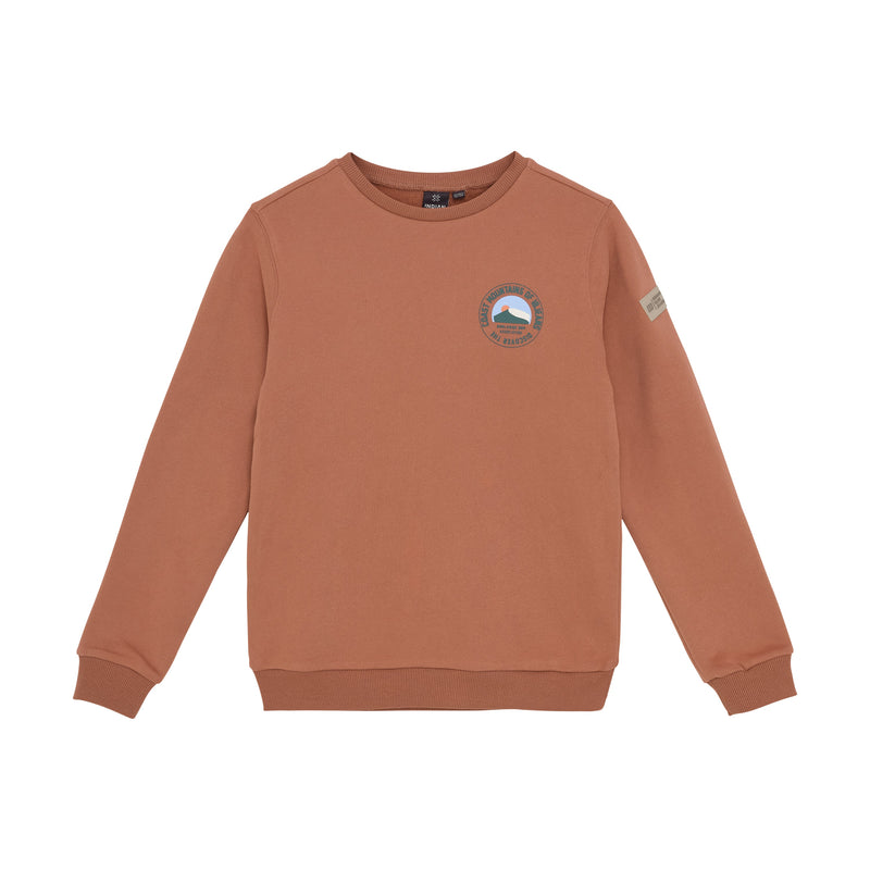 Jongens Loose Fit Sweat Chest Print van Indian Blue Jeans in de kleur Burlwood  in maat 176.
