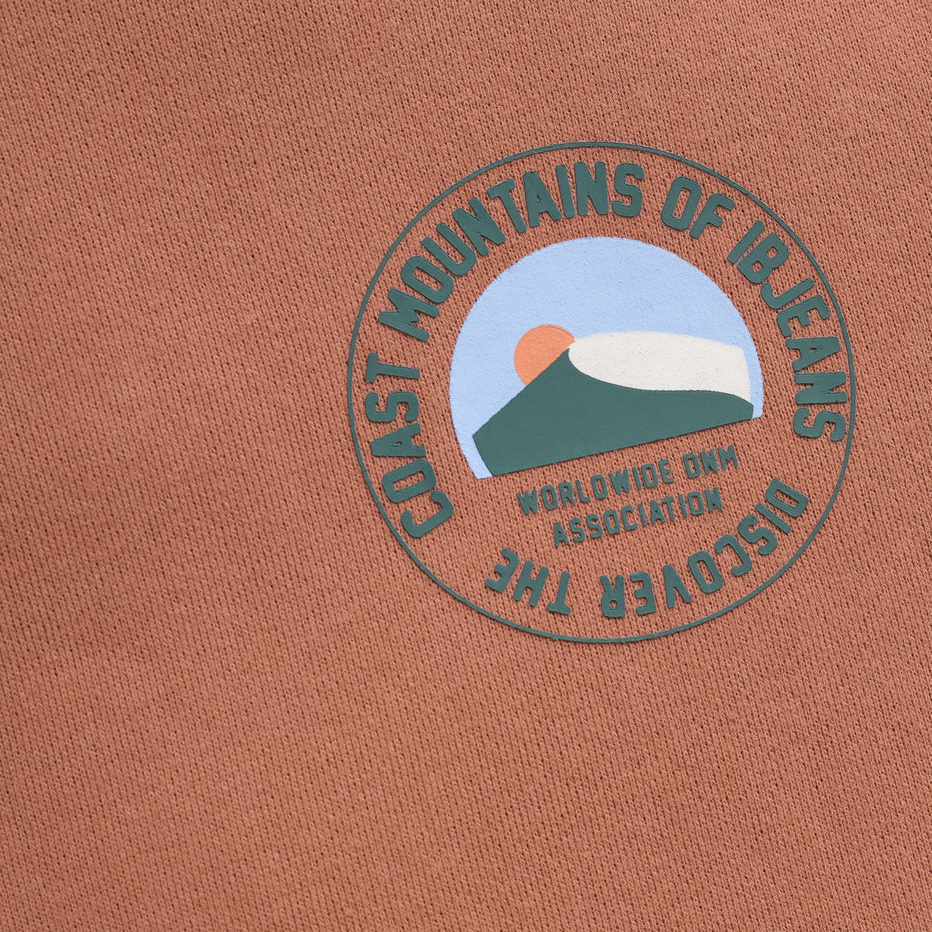 Jongens Loose Fit Sweat Chest Print van Indian Blue Jeans in de kleur Burlwood  in maat 176.