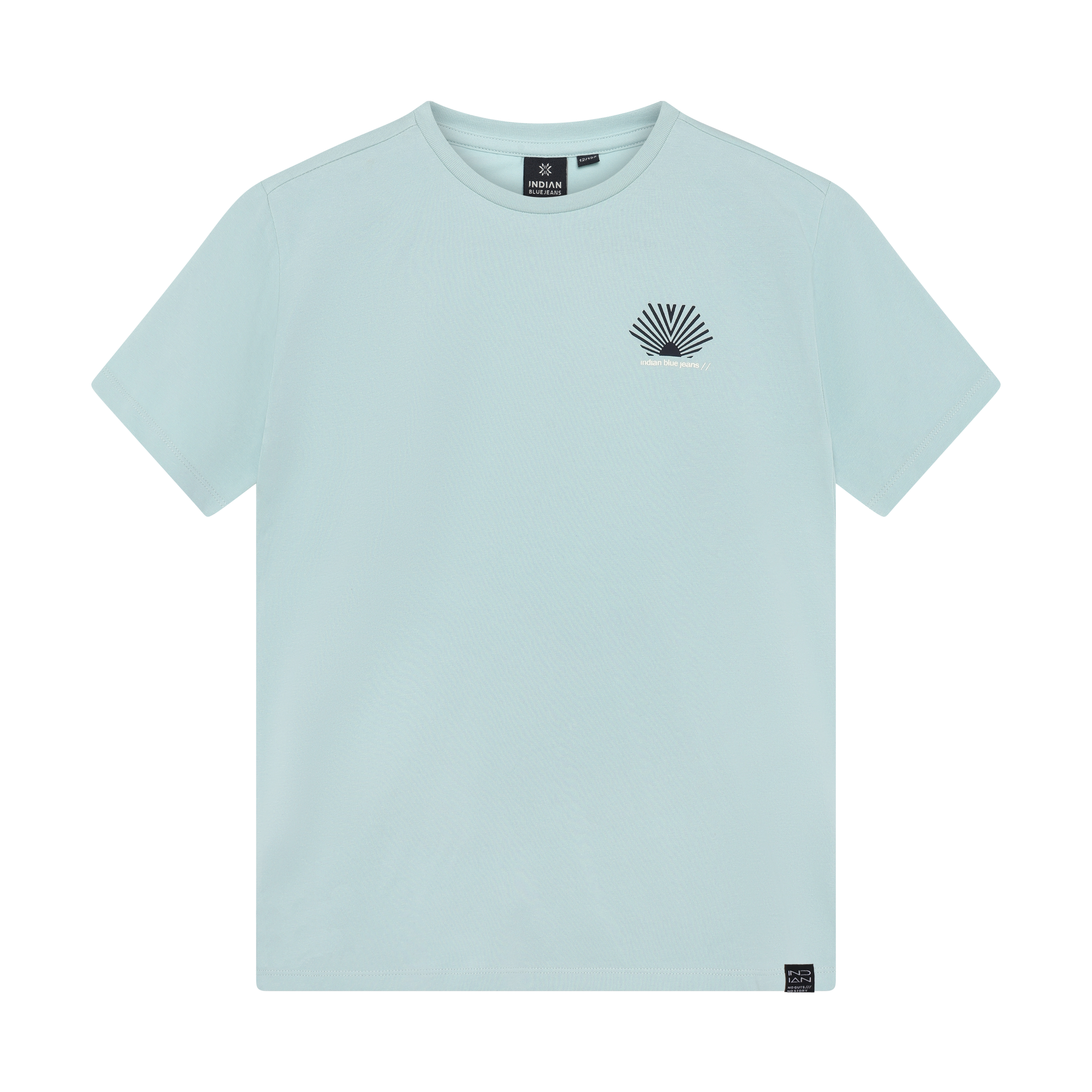 Indian Blue Jeans Loose Fit T-Shirt Indian