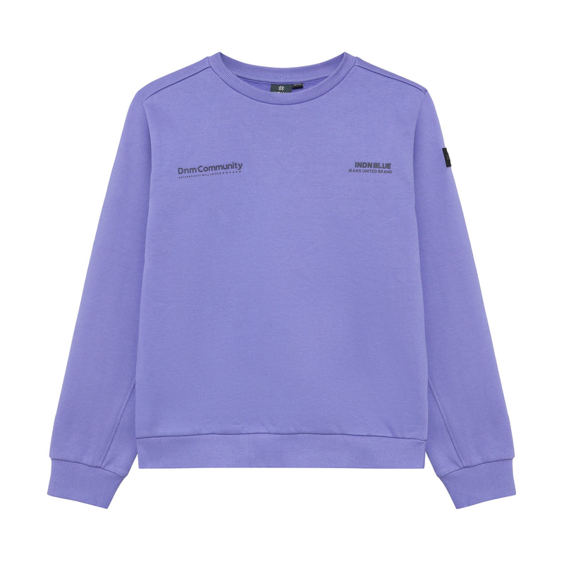 Jongens Sweater Indian Chestprint van Indian Blue Jeans in de kleur Bright Purple in maat 176.