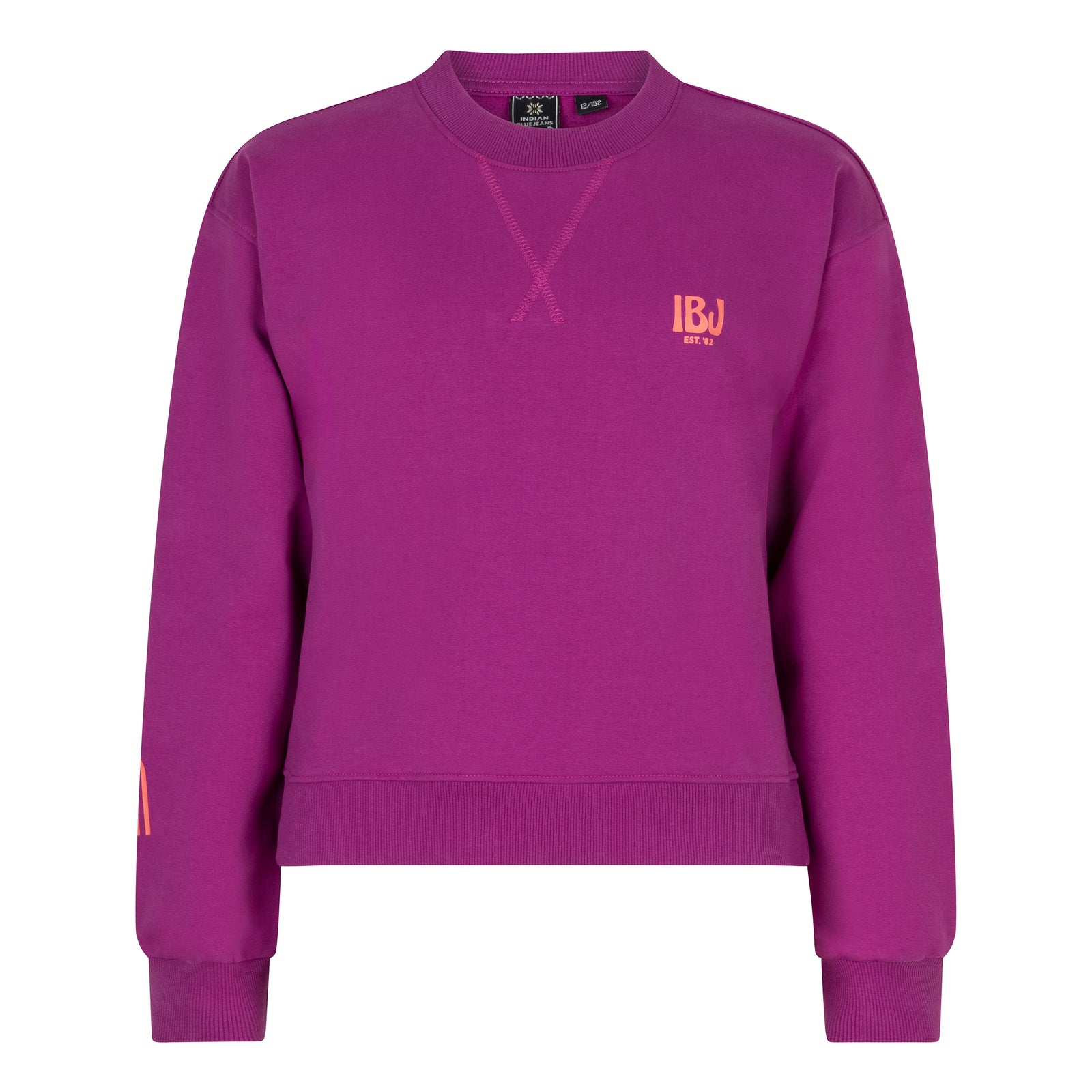 Indian Blue Jeans Sweater Magnefique
