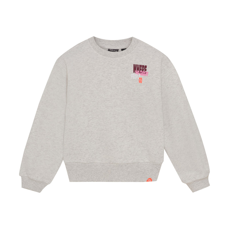 Meisjes Sweater Melange van Indian Blue Jeans in de kleur Cloud in maat 176.