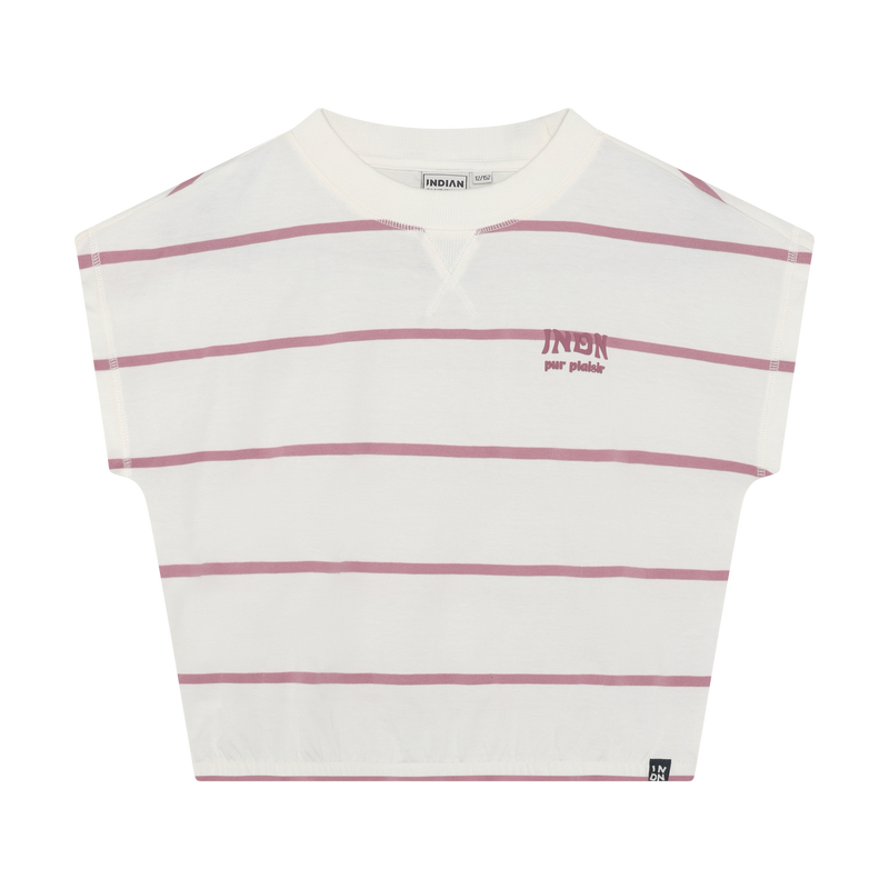 Indian Blue Jeans T-shirt Wide Cropped Stripe