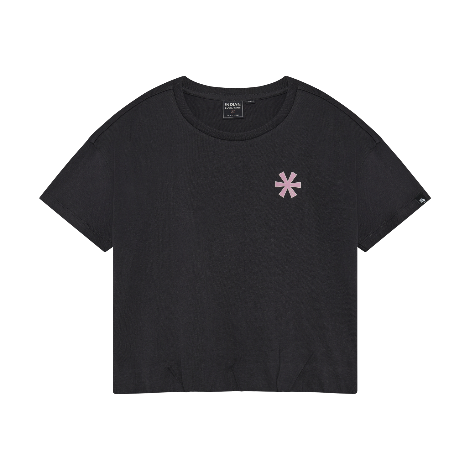 Indian Blue Jeans T-shirt Backprint