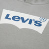 Levis BATWING SCREENPRINT HOODIE