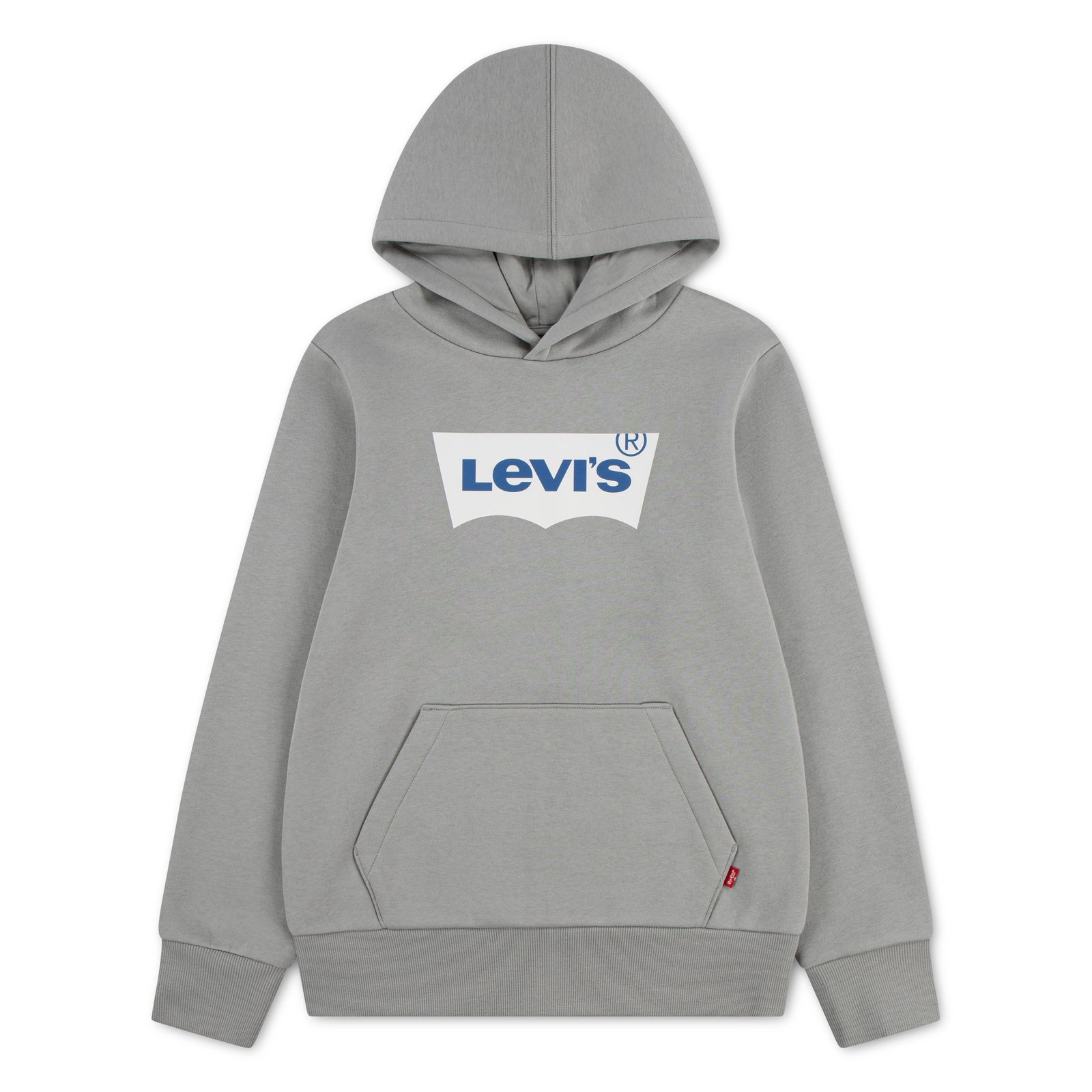 Levis BATWING SCREENPRINT HOODIE