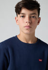 Levis MINI LOGO CREWNECK SWEATSHIRT