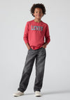 Levis STAY LOOSE TAPER JEANS