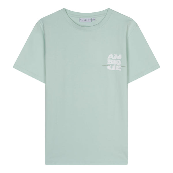 Jongens T-Shirt Damon van Ambique Kids in de kleur 133 Mint green in maat 182-188.