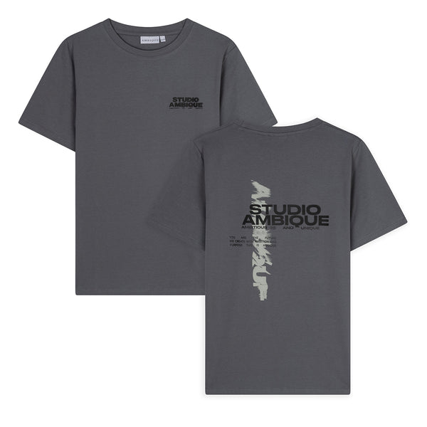 Jongens T-Shirt Ace van Ambique Kids in de kleur 111 Stone Grey in maat 182-188.