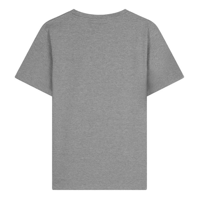 Jongens T-Shirt Glenn van Ambique Kids in de kleur 136 Grey melange in maat 182-188.