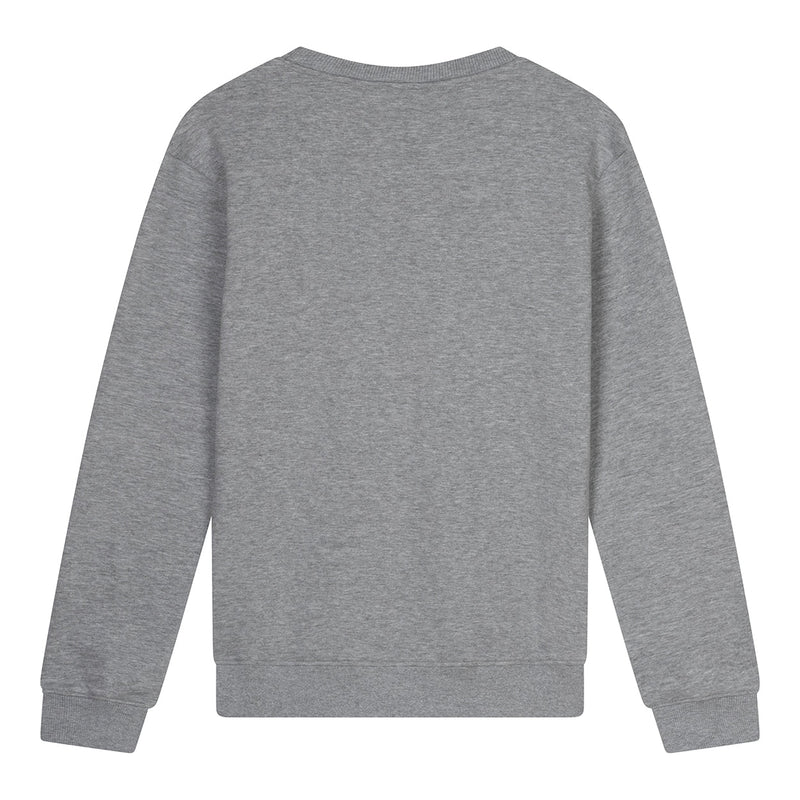 Jongens Crewneck Gary van Ambique Kids in de kleur 136 Grey melange in maat 182-188.