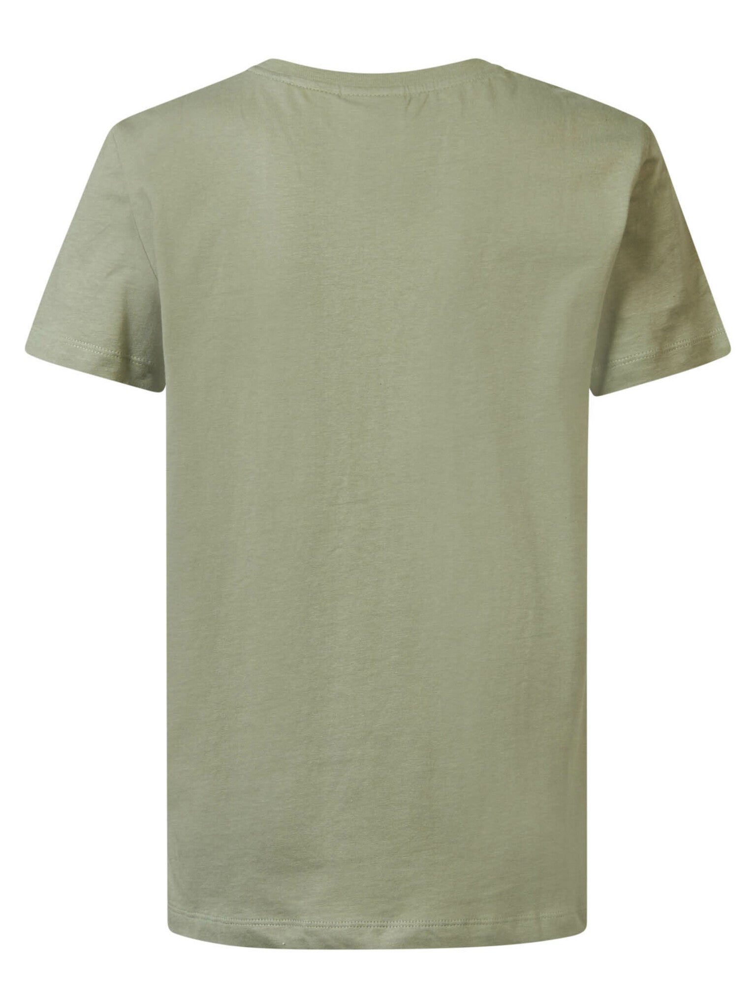 Jongens Boys T-Shirt SS Round Neck van Petrol in de kleur Sage Green in maat 176.