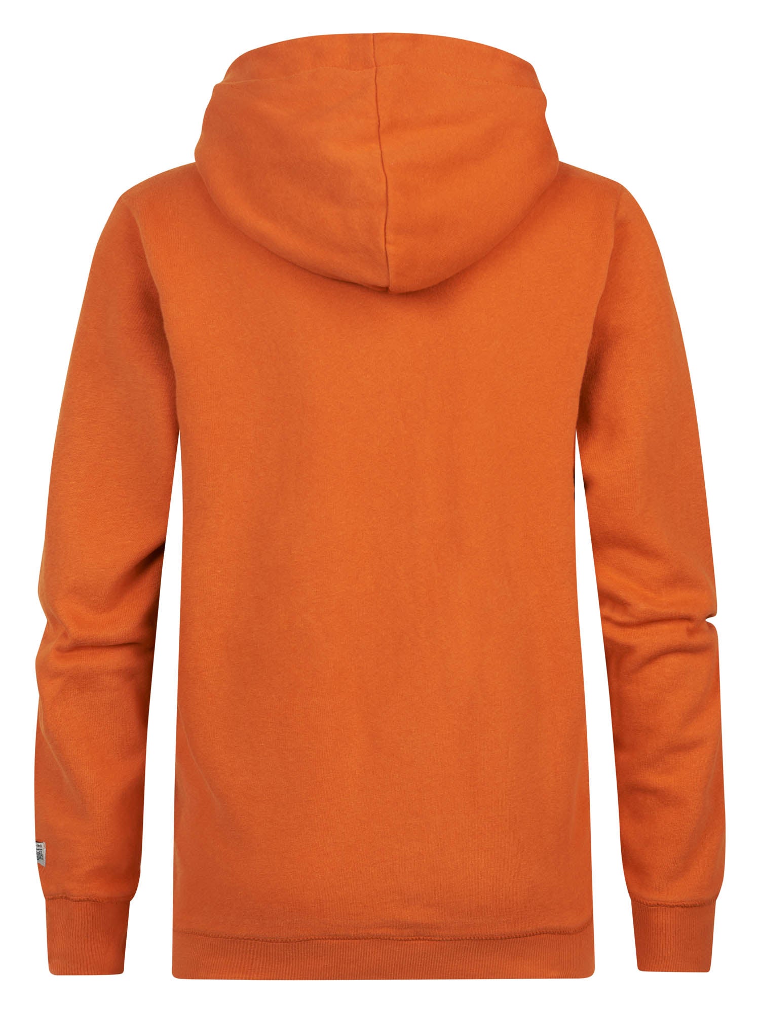 Jongens Sweater Hooded Print van Petrol in de kleur Orange Rust in maat 164.