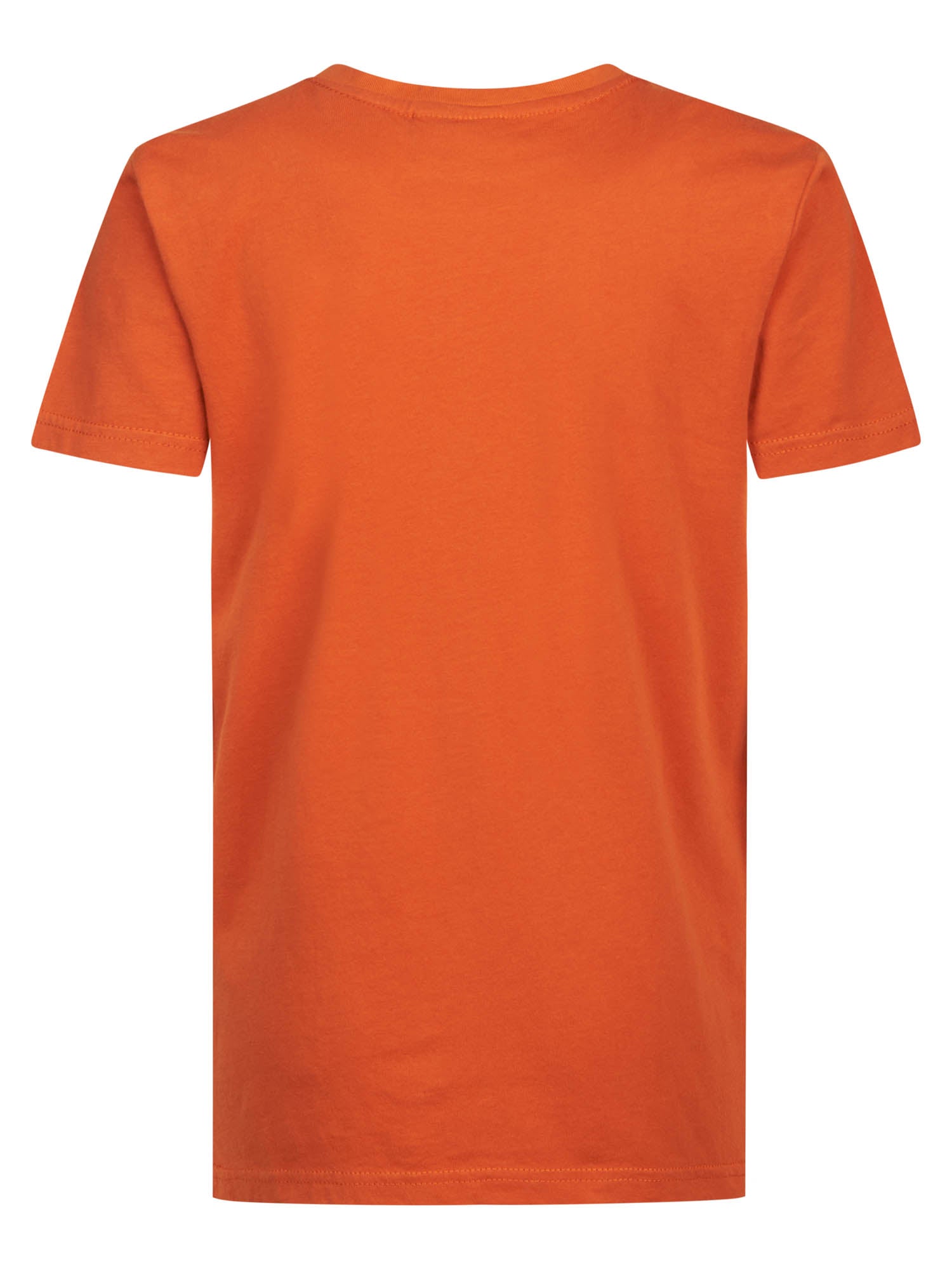 Jongens T-Shirt SS Classic Print van Petrol in de kleur Orange Rust in maat 164.