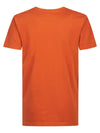 Jongens T-Shirt SS Classic Print van Petrol in de kleur Orange Rust in maat 164.