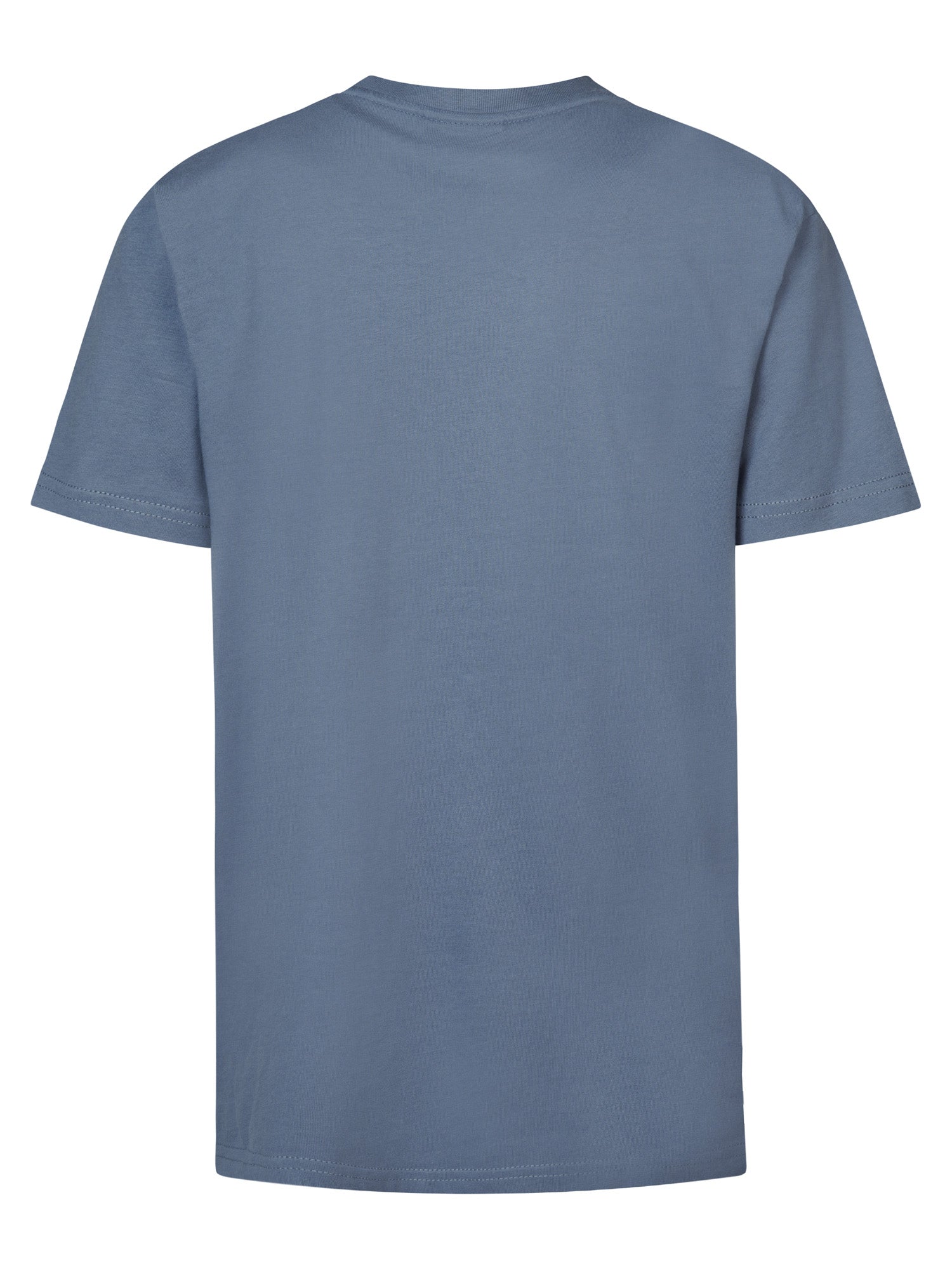 Jongens Boys T-Shirt SS Round Neck van Petrol in de kleur Light Shadow in maat 176.