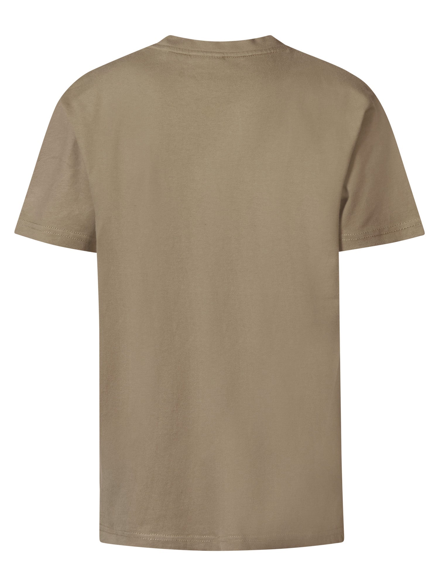 Jongens Boys T-Shirt SS Round Neck van Petrol in de kleur Oak in maat 176.