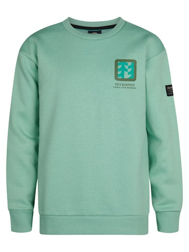 Jongens T-Shirt LS Classic Print van Petrol in de kleur Pale Aqua in maat 176.