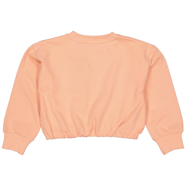 Quapi Cropped Sweater BERNICEQS241