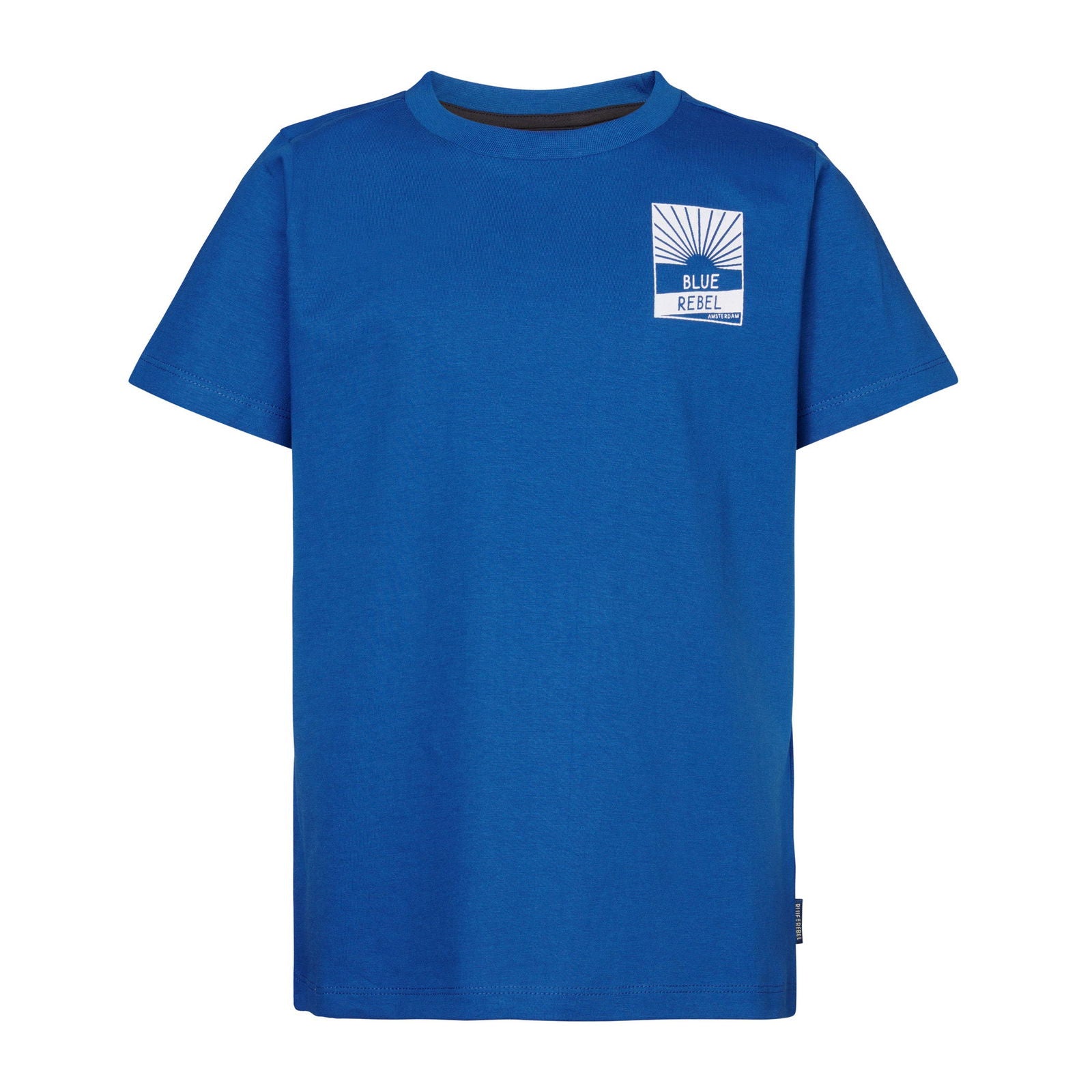 Blue Rebel Boys Tee Sh Slv Josiah