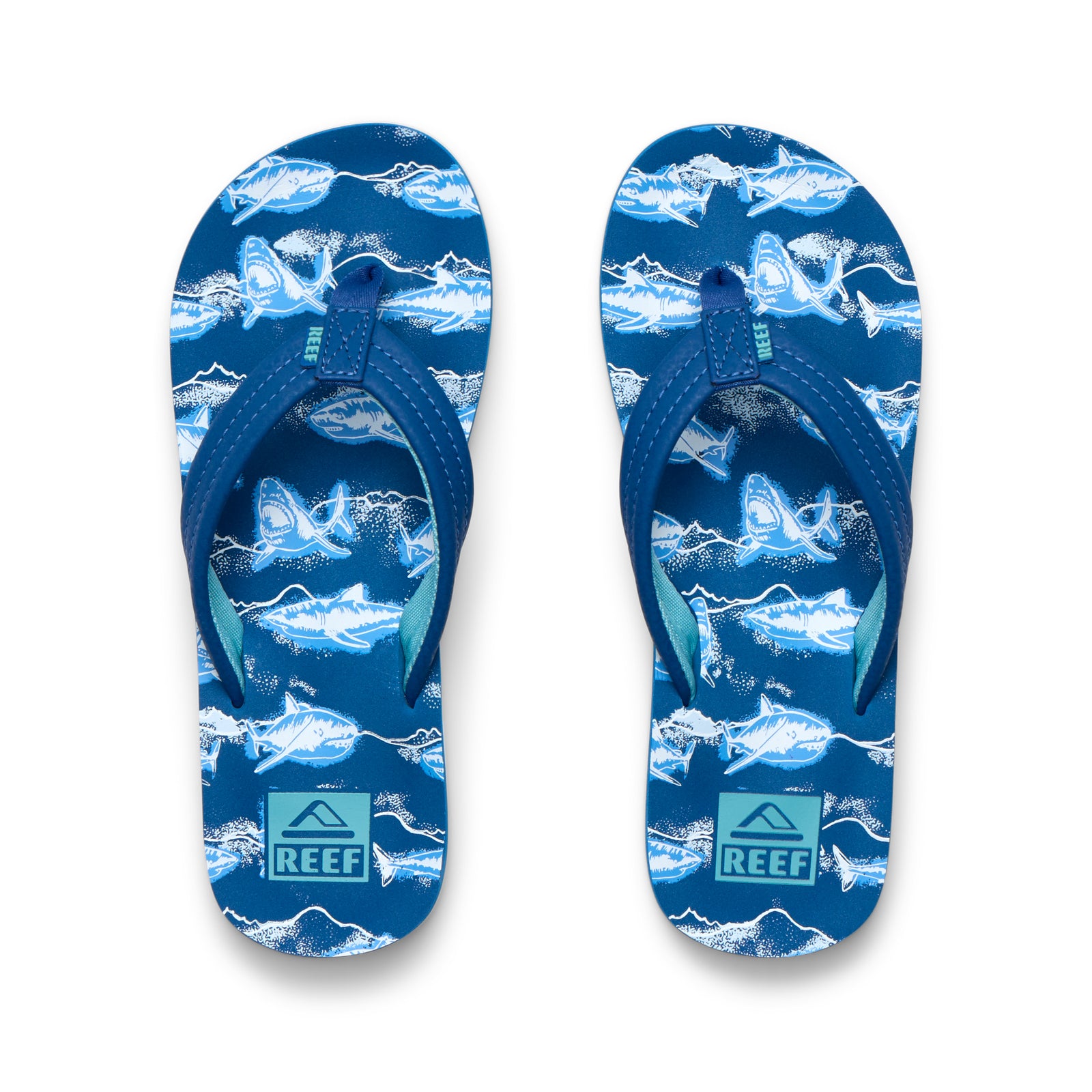 Reef KIDS AHI ROYAL SHARKS