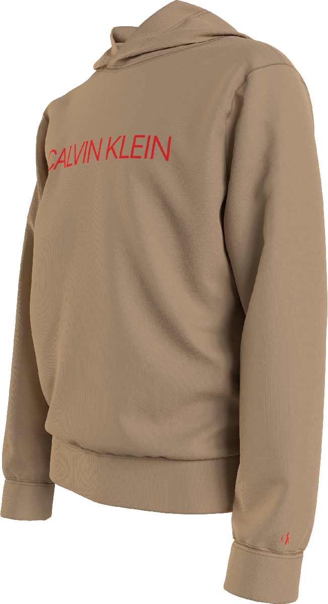 Calvin Klein Institutional Logo Hoodie - Bubbles & Bo