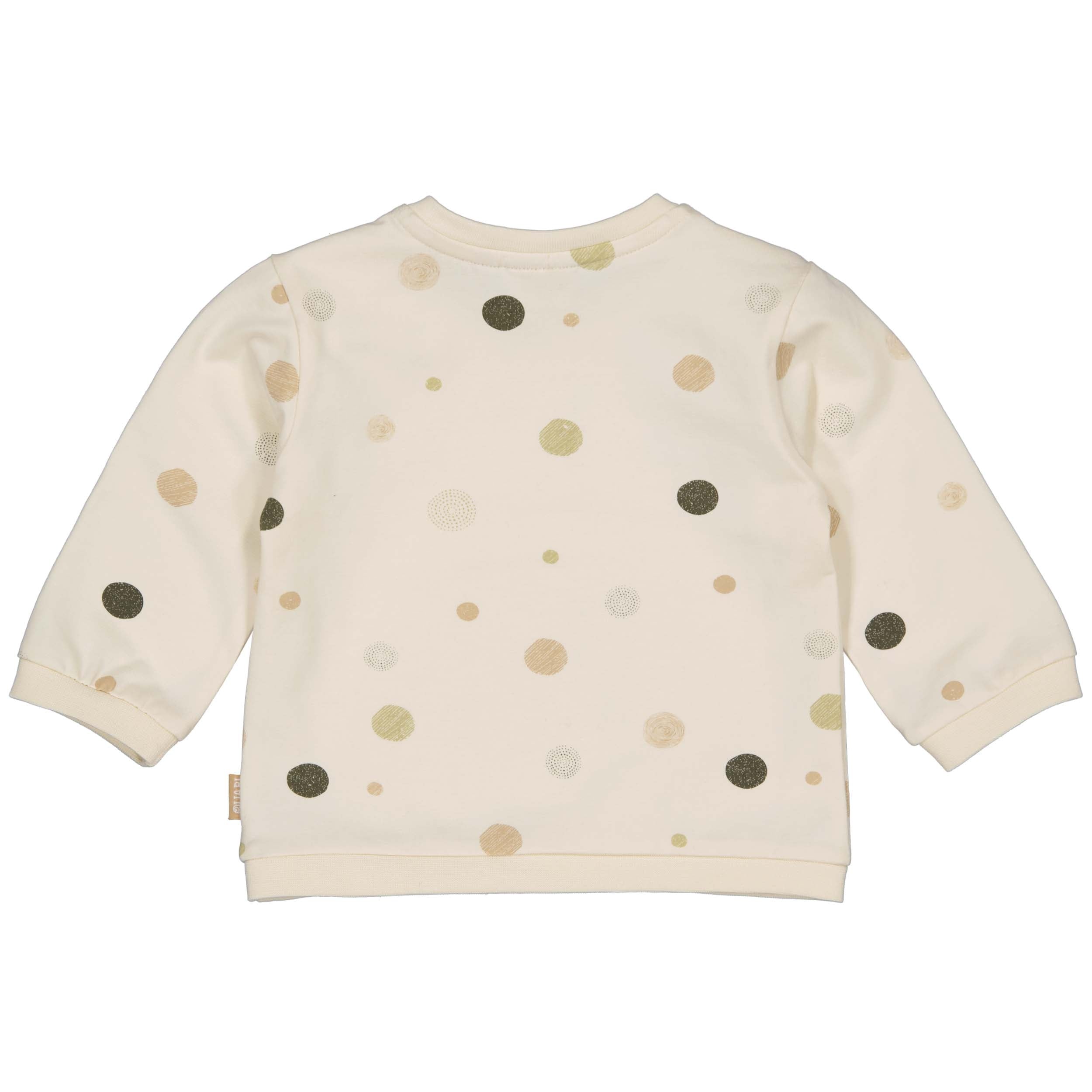 Jongens Longsleeve FEDDEQNBW24 van Quapi Newborn in de kleur AOP Multi Dot in maat 68.