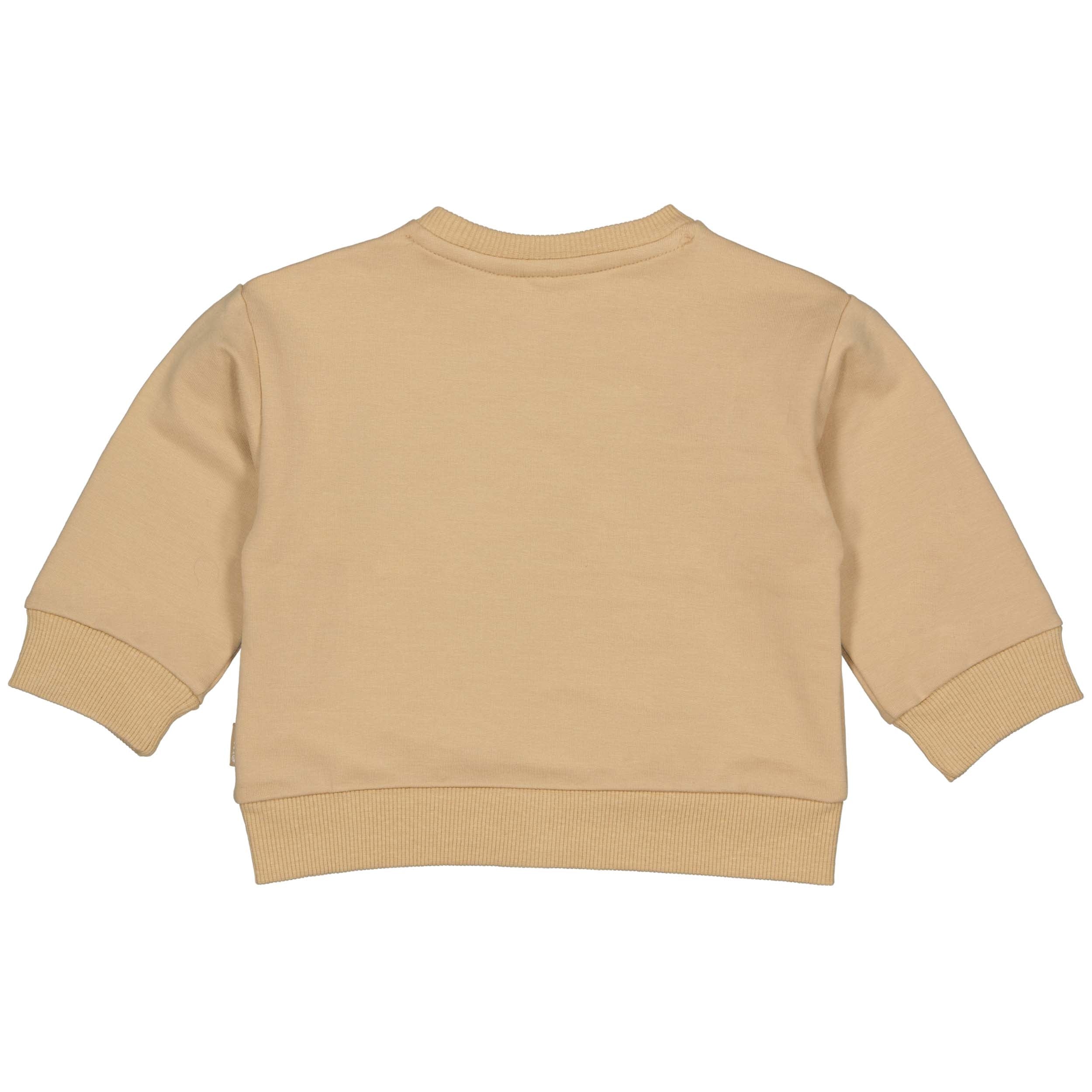 Jongens Sweater FIJSQNBW24 van Quapi Newborn in de kleur Light Sand in maat 68.