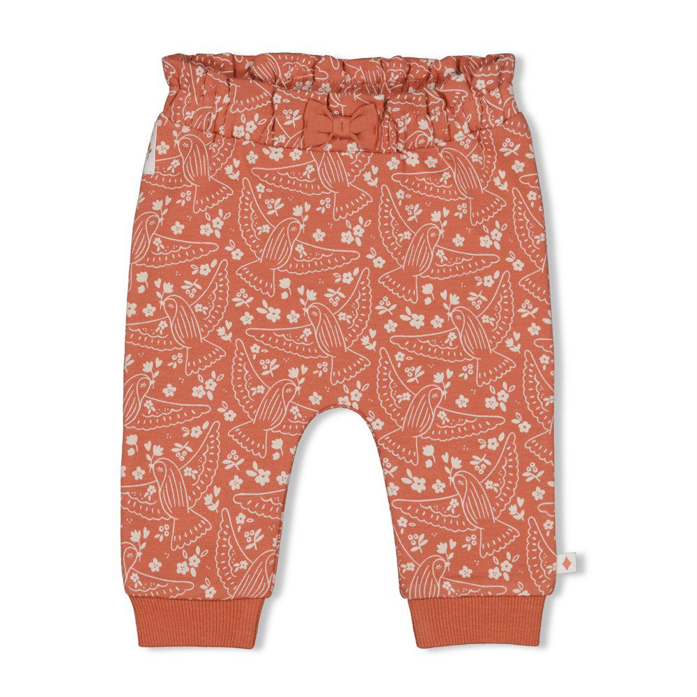 Feetje Broek AOP - Sending Love