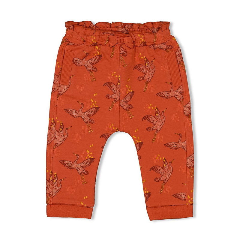 Feetje Broek AOP - Winter Nomad - Bubbles & Bo