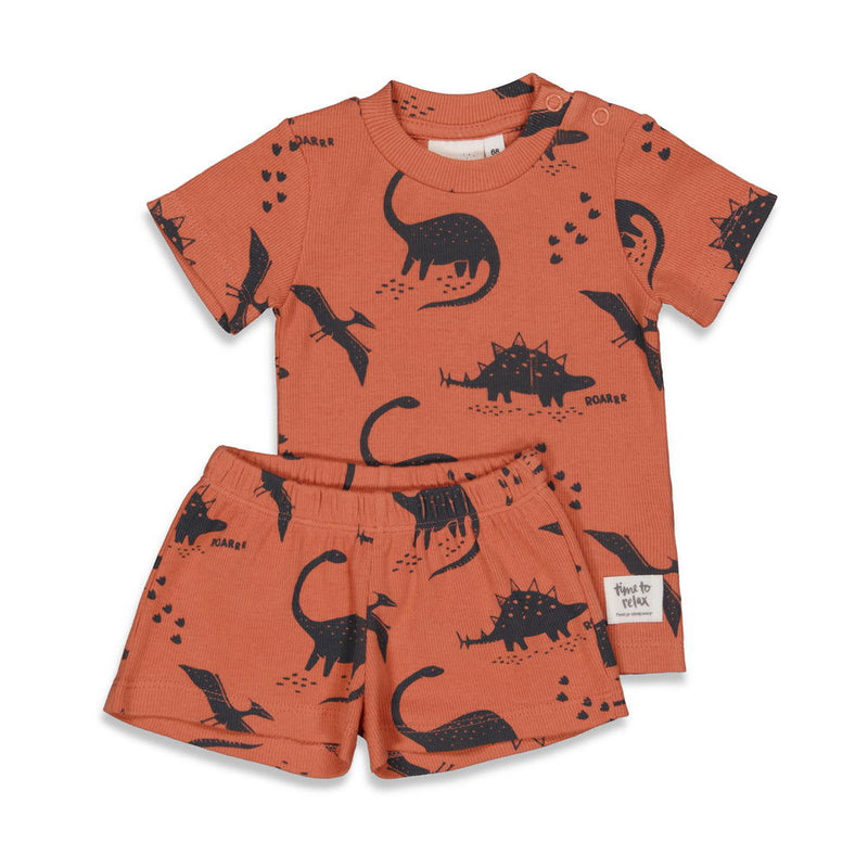 Feetje Dino Dale - Premium Sleepwear by FEETJE - Bubbles & Bo