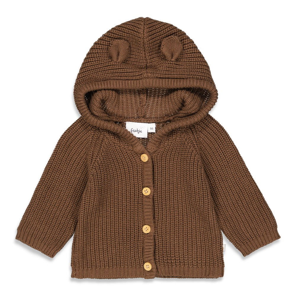 Feetje Gebreid vestje met capuchon - Beary Nice