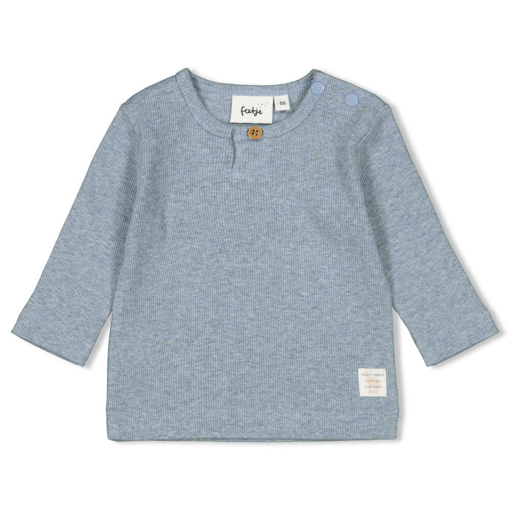 Feetje Longsleeve - A-Roarable - Bubbles & Bo