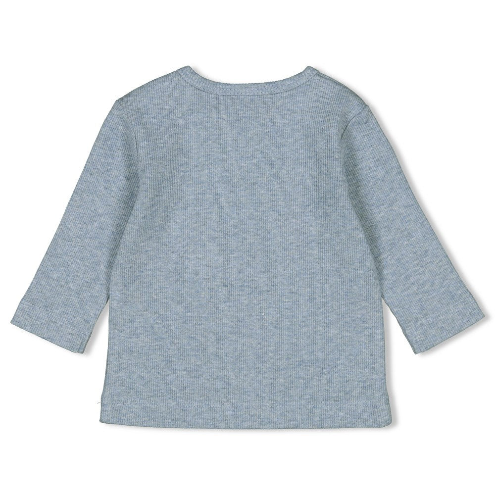 Feetje Longsleeve - A-Roarable - Bubbles & Bo