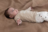 Feetje Longsleeve - Nuts About You - Bubbles & Bo