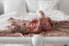 Feetje Roarr Ruby - Premium Sleepwear by FEETJE - Bubbles & Bo