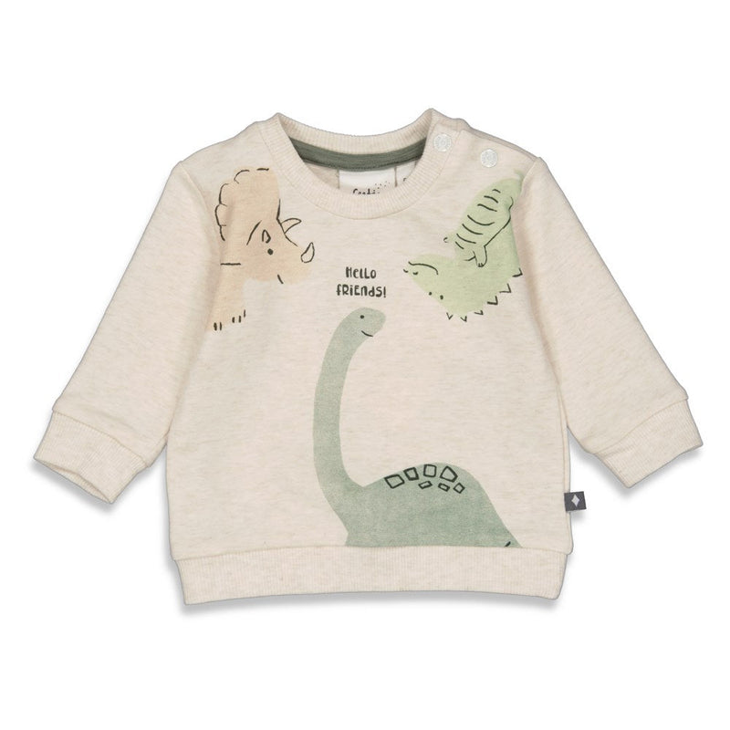 Feetje Sweater - Cool-A-Saurus - Bubbles & Bo